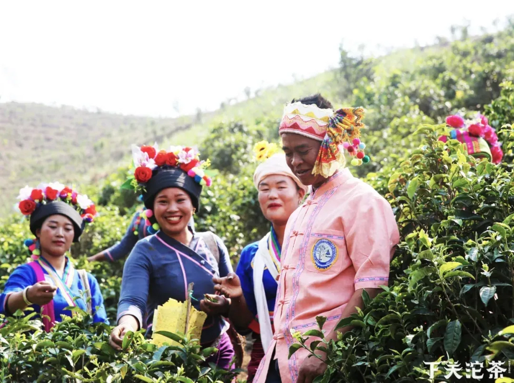 Three tea mountains selected by Xiaguan in 2020